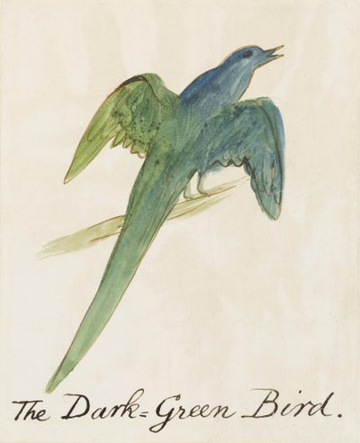 O pássaro verde escuro, de dezesseis desenhos de pássaros em quadrinhos (caneta e tinta wc no papel) de Edward Lear