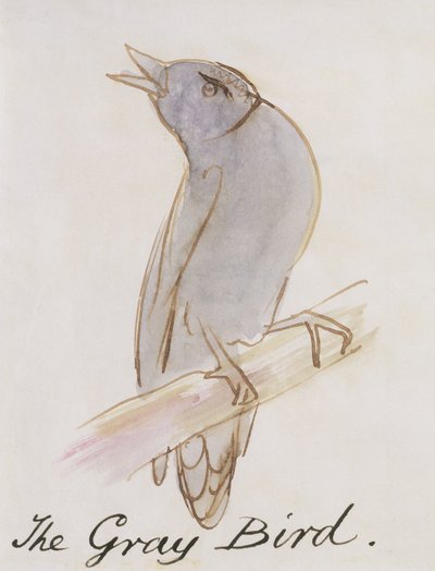 O Pássaro Cinzento, de &39;Dezesseis Desenhos de Pássaros Cómicos&39; (caneta e tinta sobre papel) de Edward Lear