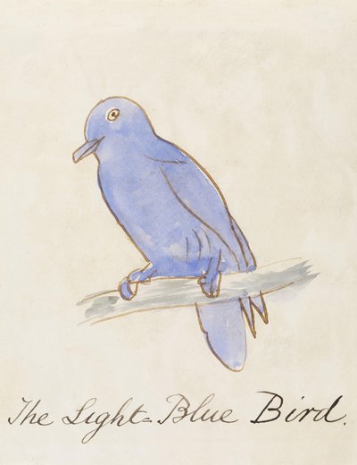 O Pássaro Azul Claro, de "Dezesseis Desenhos de Pássaros Comic" de Edward Lear