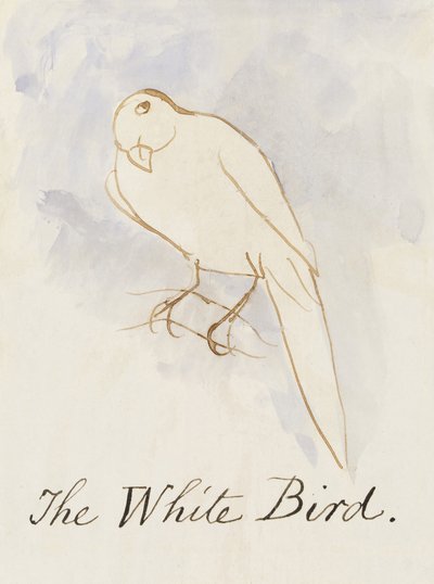O Pássaro Branco, dos Dezesseis Desenhos das Aves Comuns (caneta e tinta wc no papel) de Edward Lear