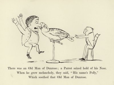Havia um velho homem de Dunrose; um papagaio agarrou seu nariz de Edward Lear