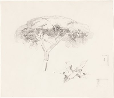  de Edward Lear
