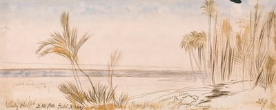Desvantagens do Halfeh de Edward Lear