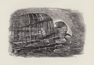 Ilustração para The Water-Babies de Charles Kingsley (gravura) de Edward Linley (after) Sambourne