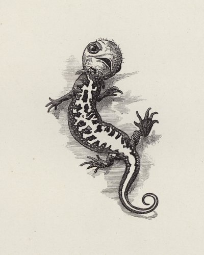 Ilustração para The Water-Babies de Charles Kingsley (gravura) de Edward Linley (after) Sambourne