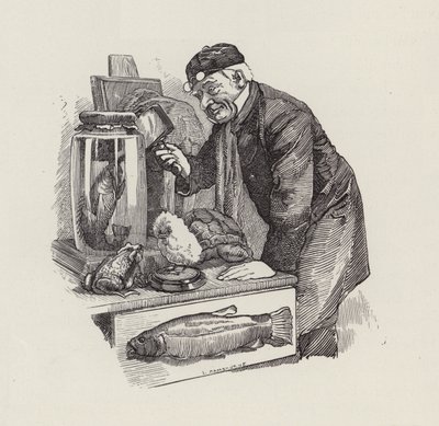 Ilustração para The Water-Babies de Charles Kingsley (gravura) de Edward Linley (after) Sambourne