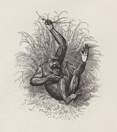 Ilustração para The Water-Babies de Charles Kingsley (gravura) de Edward Linley (after) Sambourne
