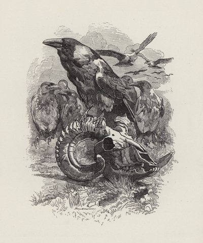 Ilustração para The Water-Babies de Charles Kingsley (gravura) de Edward Linley (after) Sambourne
