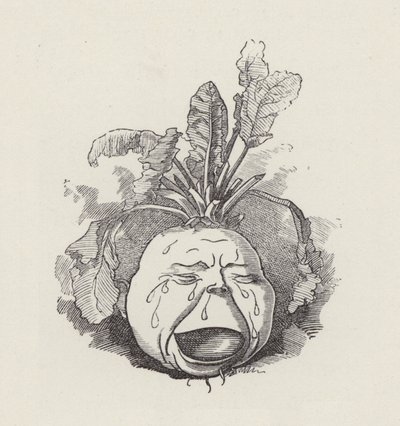 Ilustração para The Water-Babies de Charles Kingsley (gravura) de Edward Linley (after) Sambourne
