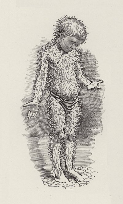 Ilustração para The Water-Babies de Charles Kingsley (gravura) de Edward Linley (after) Sambourne