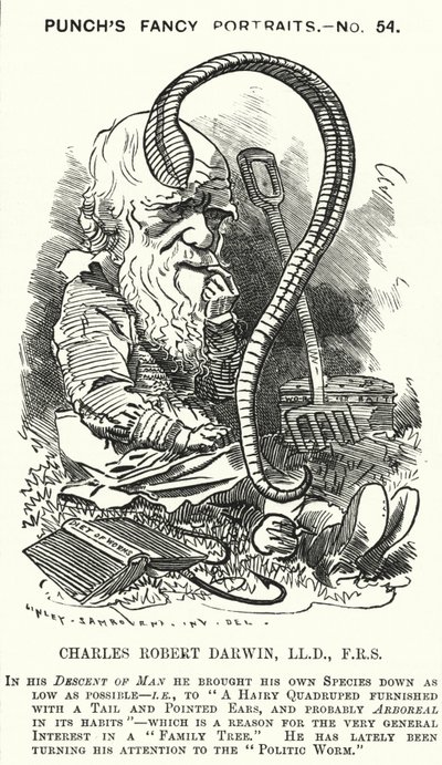 Soco cartoon: Charles Darwin, naturalista e biólogo inglês (gravura) de Edward Linley (after) Sambourne
