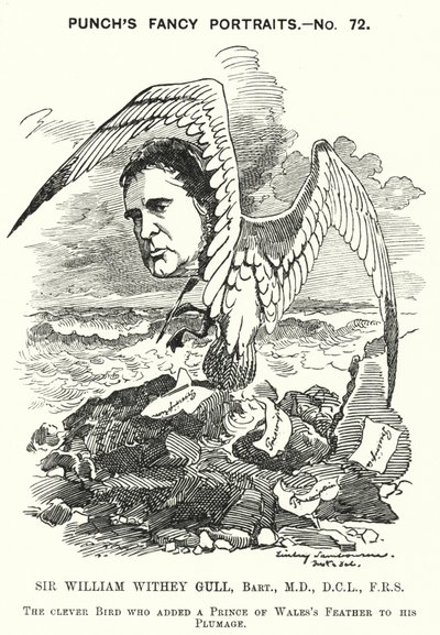 Soco cartoon: Sir William Withey Gull, médico inglês que tratou o Príncipe de Gales por febre tifóide e se tornou o Médico-Ordinário da Rainha Vitória (gravura) de Edward Linley (after) Sambourne