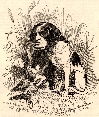 William GGV Vernon Harcourt (1827-1904) de Edward Linley Sambourne