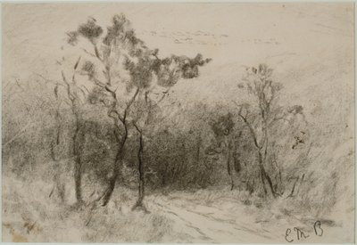 Paisagem com Caminho (#51), c. 1880 (carvão sobre papel) de Edward Mitchell Bannister