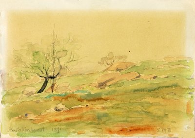 Neutaconcanut, 1891. de Edward Mitchell Bannister
