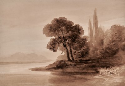 Paisagem com árvores de Edward Pretty