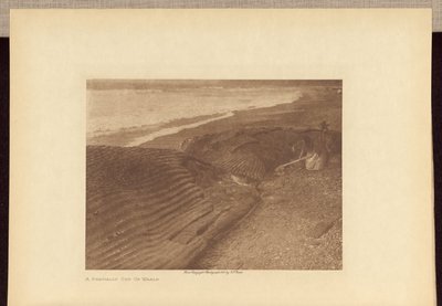 Uma baleia parcialmente cortada de Edward S. Curtis