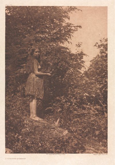 Carteira IX, Placas 293-328 de Edward S. Curtis