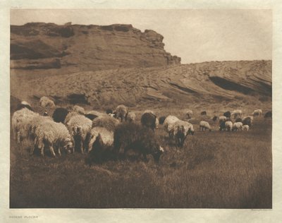 Portfolio I, Placa 33: Bandos Navaho de Edward S. Curtis