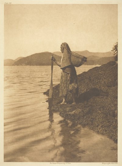 O coletor de algas de Edward S. Curtis