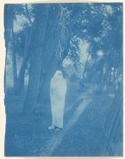 À Espera na Floresta - Cheyenne de Edward S. Curtis