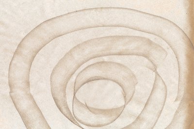 Curvas orgânicas fluidas de Edward Selkirk