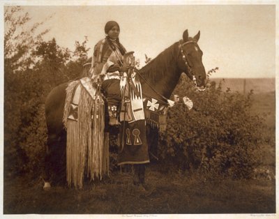 Puleiros de férias - Cayuse de Edward Sheriff (after) Curtis