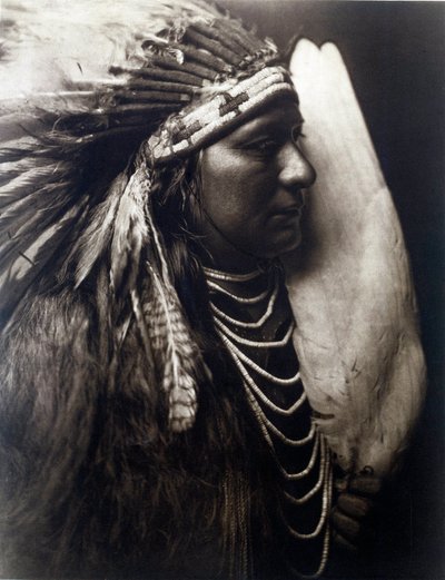 Índios americanos: Retrato de um índio da tribo Perce Nose de Edward Sheriff Curtis