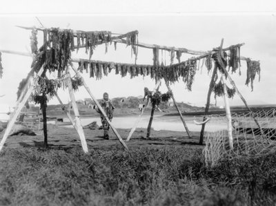 Um esquimó de pé debaixo de uma estrutura com carne de baleia pendurada para secar, c.1929 (foto p/b) de Edward Sheriff Curtis
