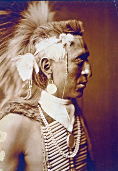 Tampa de antílope de Edward Sheriff Curtis