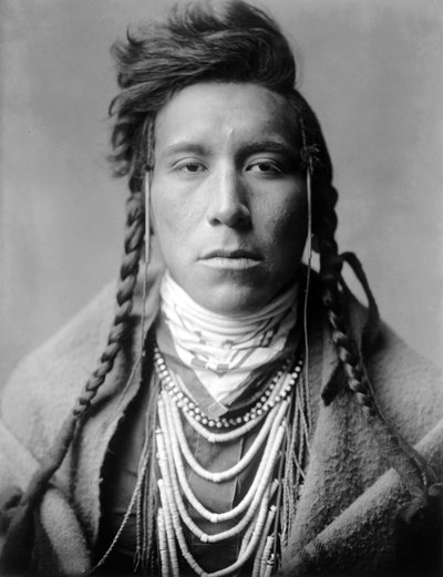 Bird on High Land, Crow indian, Montana, EUA, c. 1908, foto Edward S. Curtis de Edward Sheriff Curtis