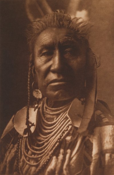 Exposições de peixe - Apsaroke de Edward Sheriff Curtis