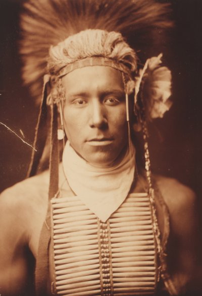 Pequena luz do dia de Edward Sheriff Curtis