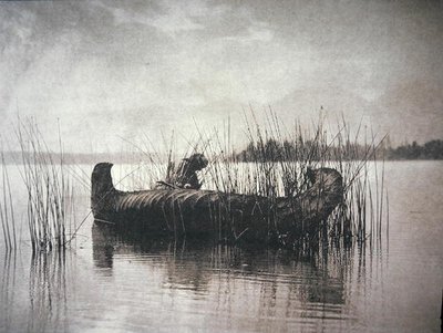 The Rush Gatherer, Montana (foto a p/b) de Edward Sheriff Curtis