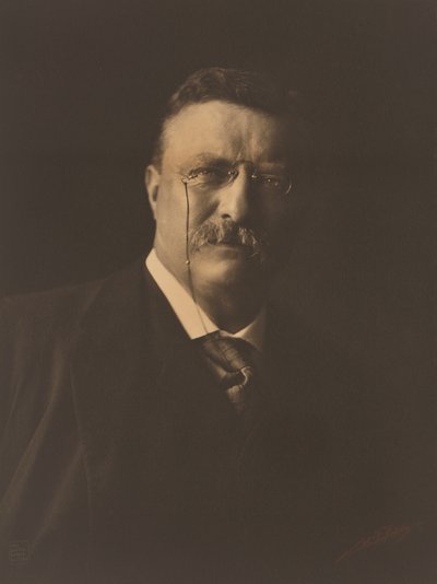 Theodore Roosevelt de Edward Sheriff Curtis