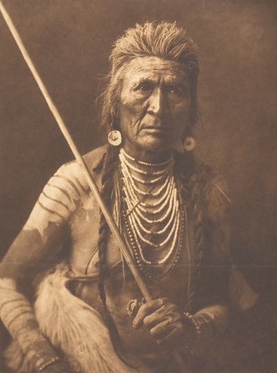 Lobo - Apsaroke, 1908. de Edward Sheriff Curtis