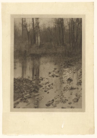 A piscina de Edward Steichen
