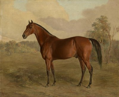Pica-pau de Kentucky, 1834 de Edward Troye
