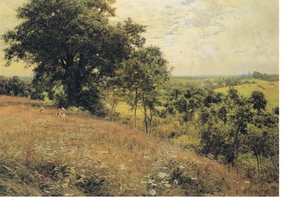 No campo de Edward Wilkins Waite