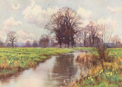 Este riozinho alegre é livre de encargos, e nem açude nem moinho lhe barram o caminho rápido para o mar (litografia a cores) de Edward Wilkins Waite