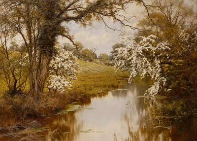 Where Spreading Hawthorns Gaily Bloom (óleo sobre tela) de Edward Wilkins Waite