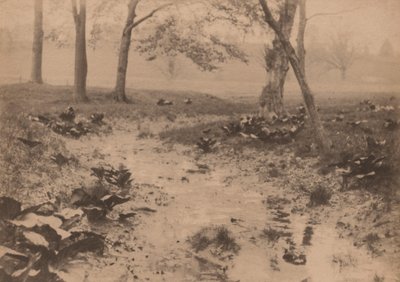 Paisagem de primavera, década de 1890 (foto) de Edward Willis Redfield