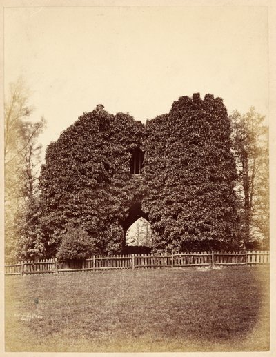 Vista de uma loucura em Roundhay Park (impressão de albume) de Edward Wormald