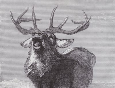 Um desafio de Edwin (after) Landseer