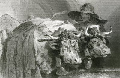 Bois no tanque, Genebra (gravura) de Edwin (after) Landseer