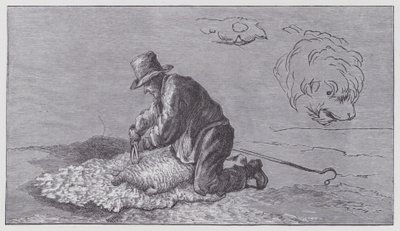 Ovinocultura de Edwin (after) Landseer