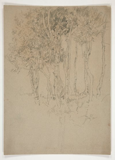 Esboço de um bosque de árvores de Edwin Austin Abbey