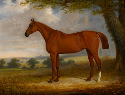 Caçador da castanha em uma paisagem, 1867 de Edwin Brown