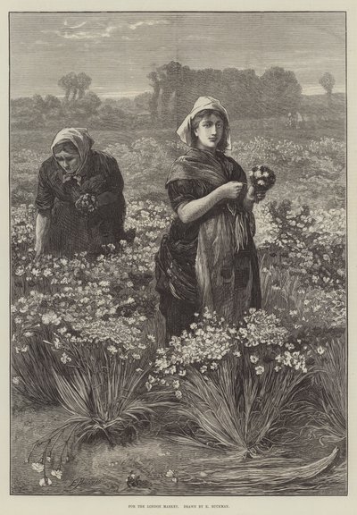 Para o Mercado de Londres (gravura) de Edwin Buckman