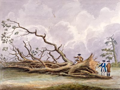 Árvores danificadas por uma tempestade de 15 de outubro, Roehampton, Londres, 1780 de Edwin Edwards